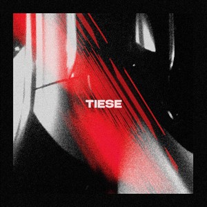 Cover TIESE