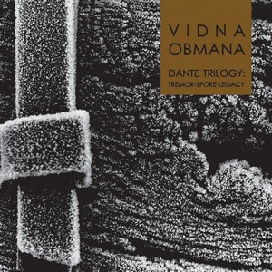 Cover VIDNA OBMANA