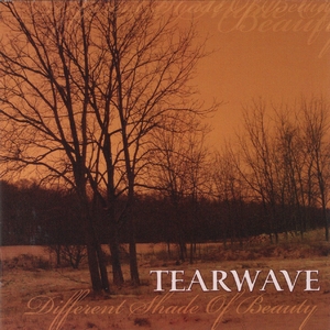 Cover TEARWAVE