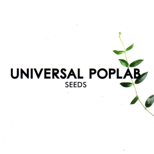 Cover UNIVERSAL POPLAB