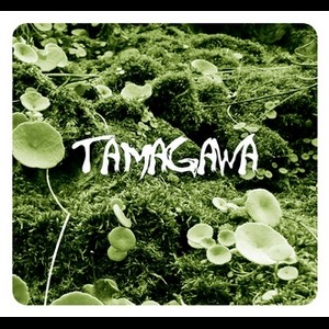 Cover TAMAGAWA 