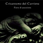 CRISANTEMO DEL CARRIONE