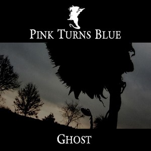 Cover PINK TURNS BLUE