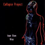 COLLAPSE PROJECT