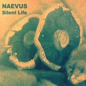 Cover NAEVUS