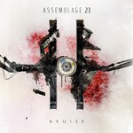 ASSEMBLAGE 23