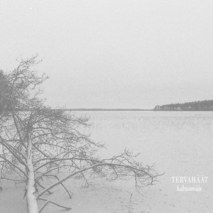 Cover TERVAHÄÄT