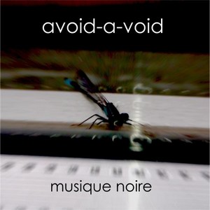 Cover AVOID-A-VOID