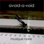 AVOID-A-VOID