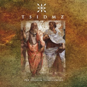 Cover TSIDMZ