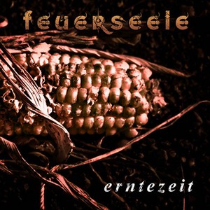 Cover FEUERSEELE