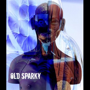 Cover OLD SPARKY