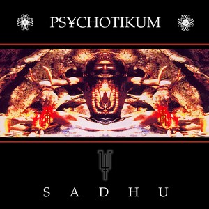 Cover PSYCHOTIKUM