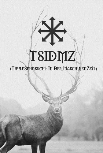 TSIDMZ