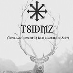 TSIDMZ