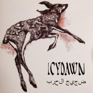 Cover ICYDAWN