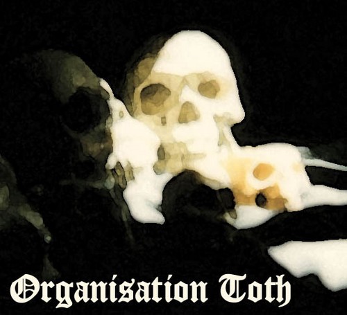 ORGANISATION TOTH