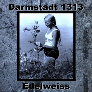 Cover DARMSTADT 1313