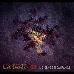 Cover CANAAN