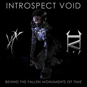 Cover INTROSPECT VOID