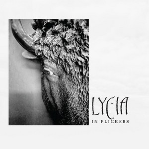 Cover LYCIA