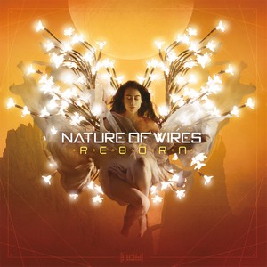 Cover NATURE OF WIRES