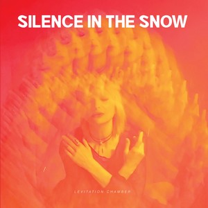 Cover SILENCE IN THE SNOW