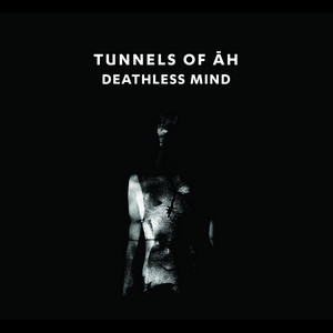 Cover TUNNELS OF AH