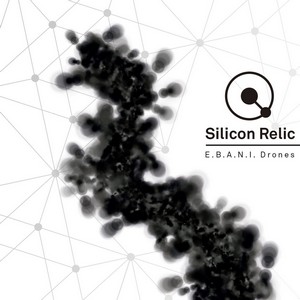 Cover SILICON RELIC